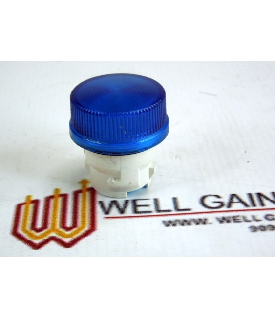3SB1001-6CF06  BLUE