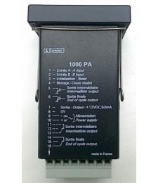 1000PA1 12/24VDC