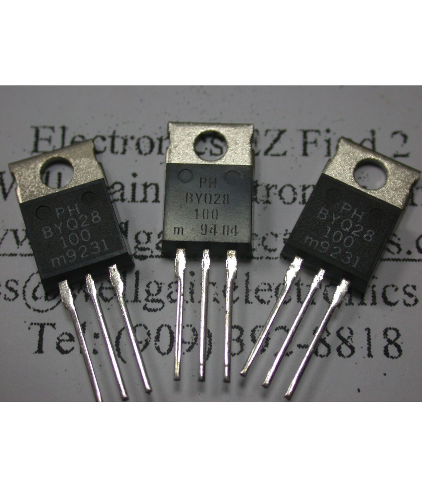BYQ28-100
