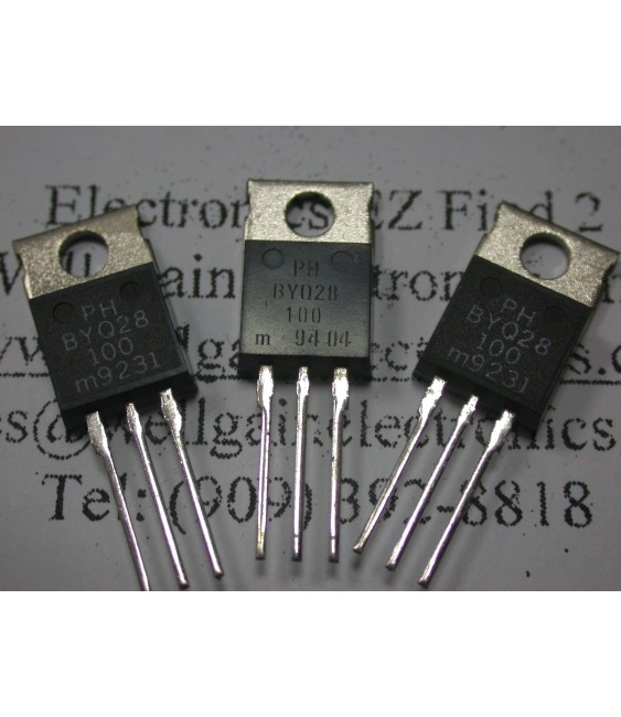 BYQ28-100