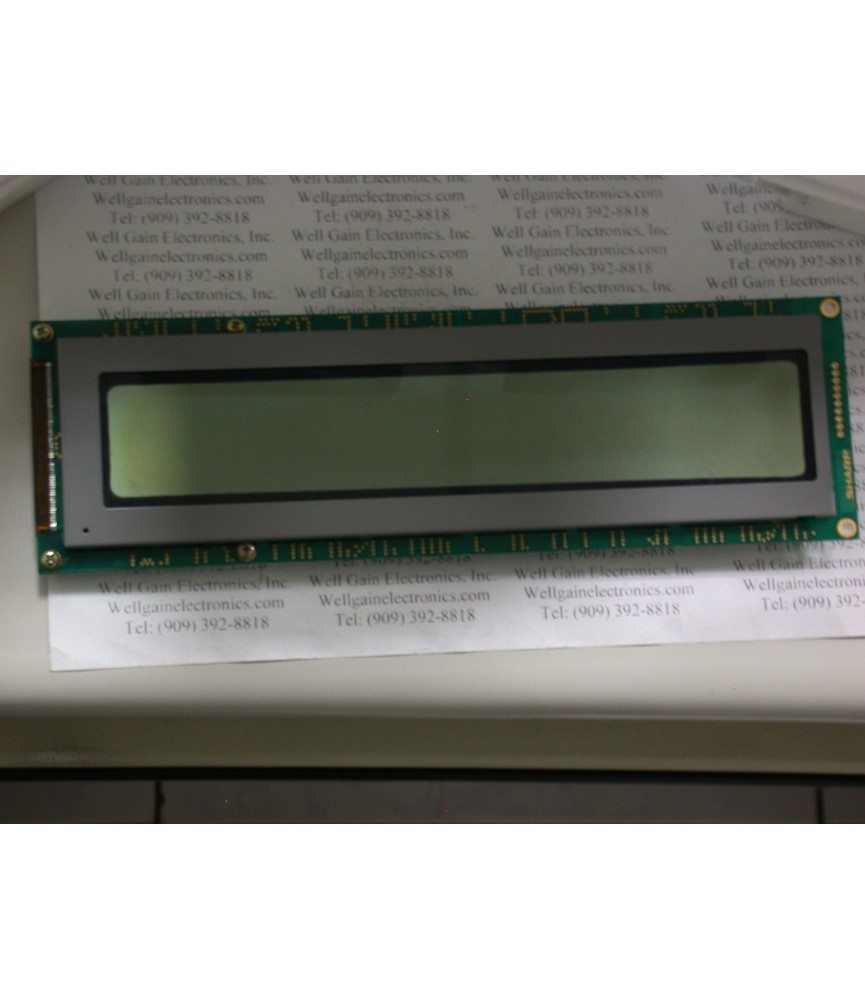 LM4000-1G  LCD Dot Matrix