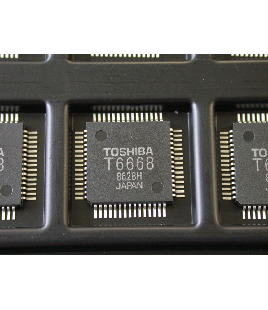 T6668 VOICE IC