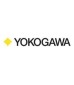 Yokogawa Electric Work